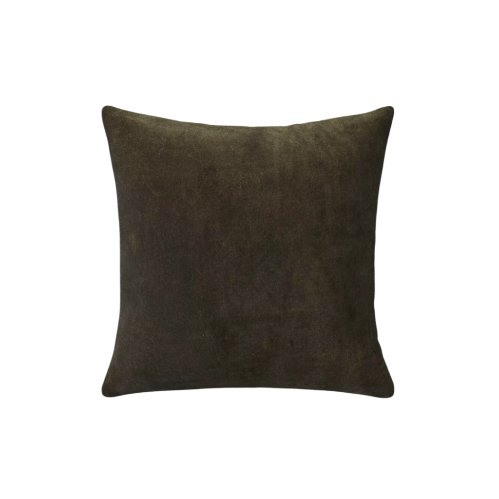 Image of velvet forest green throw pillow from Target. Link included for purchase.