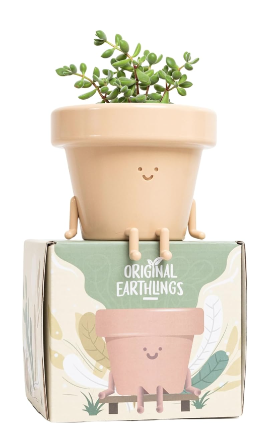 Image of pot with smiley face and pot is sitting on box. Plant is in pot.