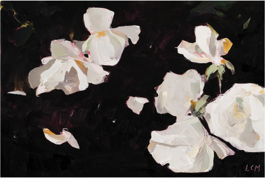 giant affordable art. Image of white garden roses with black background.